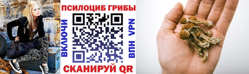 Галлюциногенные грибы GOLDEN TEACHER  Купить где  Усть-Джегута 